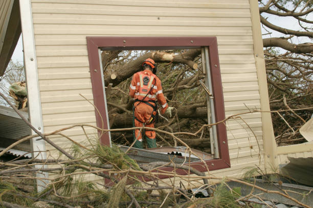 Reliable West, TX Tree Removal Solutions